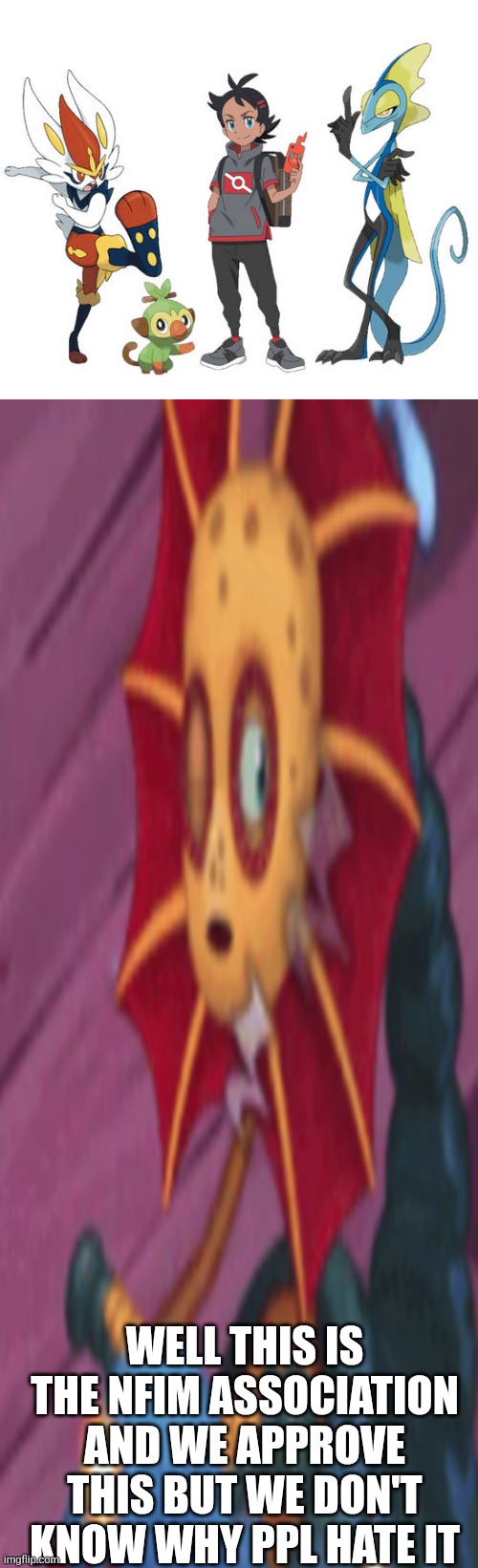 Ruin This Fill In Meme!!!!!!!!!!!!!!!!!!!!!!!!!!!!!!!!!!!!! #351 | Well this is the NFIM association and we approve this but we don't know why ppl hate it | image tagged in ruin this fill in meme 351 | made w/ Imgflip meme maker