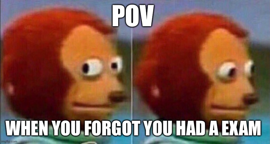 Monkey looking away | Pov; when you forgot you had a exam | image tagged in monkey looking away | made w/ Imgflip meme maker