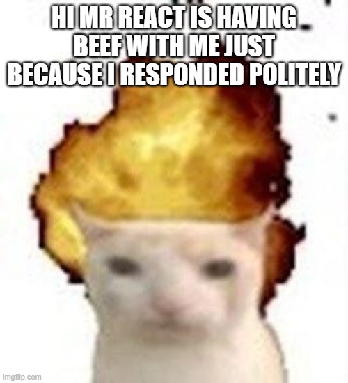 h | hi mr react is having beef with me just because i responded politely | image tagged in legalize nuclear bombs | made w/ Imgflip meme maker