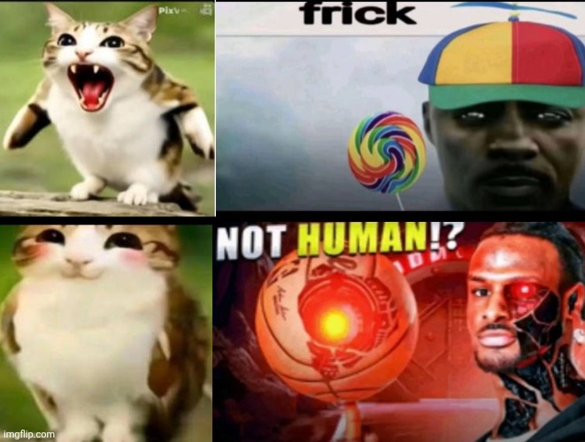 Me Ruining A Fill In Meme #634 | image tagged in ruin this fill in meme 634 | made w/ Imgflip meme maker