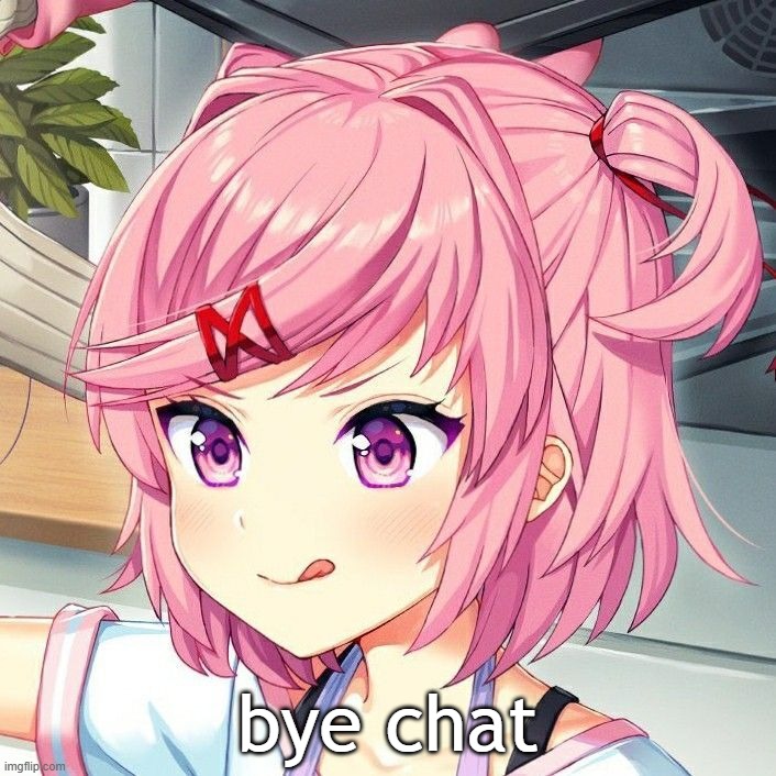 natsuki | bye chat | image tagged in natsuki | made w/ Imgflip meme maker