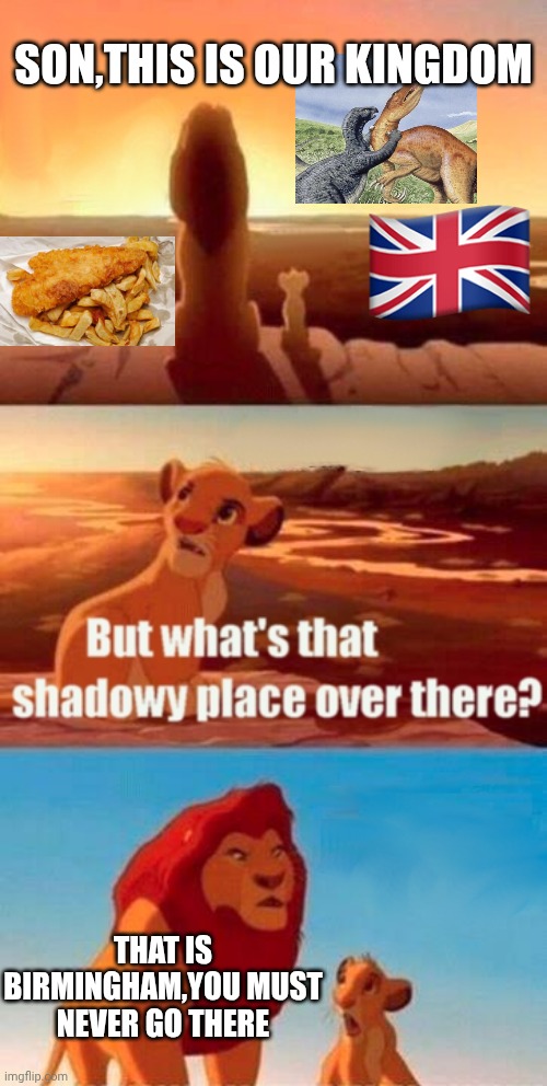 Simba Shadowy Place | Son,this is our kingdom; That is Birmingham,you must never go there | image tagged in memes,simba shadowy place,britain,birmingham | made w/ Imgflip meme maker