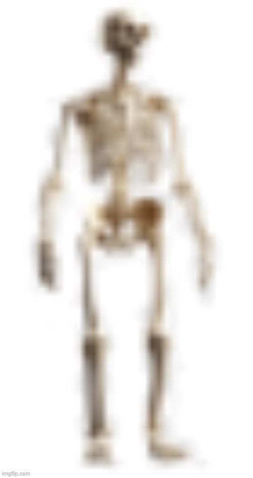 image tagged in high quality skeleton | made w/ Imgflip meme maker
