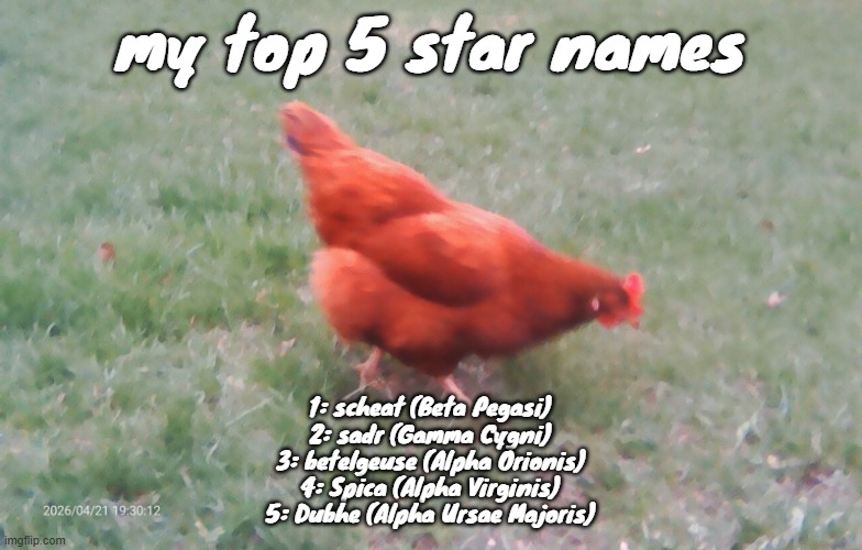 my top 5 star names; 1: scheat (Beta Pegasi)
2: sadr (Gamma Cygni)
3: betelgeuse (Alpha Orionis)
4: Spica (Alpha Virginis)
5: Dubhe (Alpha Ursae Majoris) | image tagged in 2026-04-21-19-30-12 jpg | made w/ Imgflip meme maker