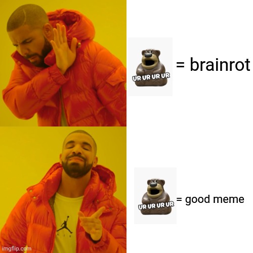 Drake Hotline Bling Meme | = brainrot; = good meme | image tagged in memes,drake hotline bling | made w/ Imgflip meme maker