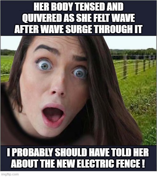 Take Your Mind Out Of The Gutter ! | Her body tensed and quivered as she felt wave after wave surge through it; I probably should have told her
about the new electric fence ! | image tagged in expectations,quivered,electricity | made w/ Imgflip meme maker