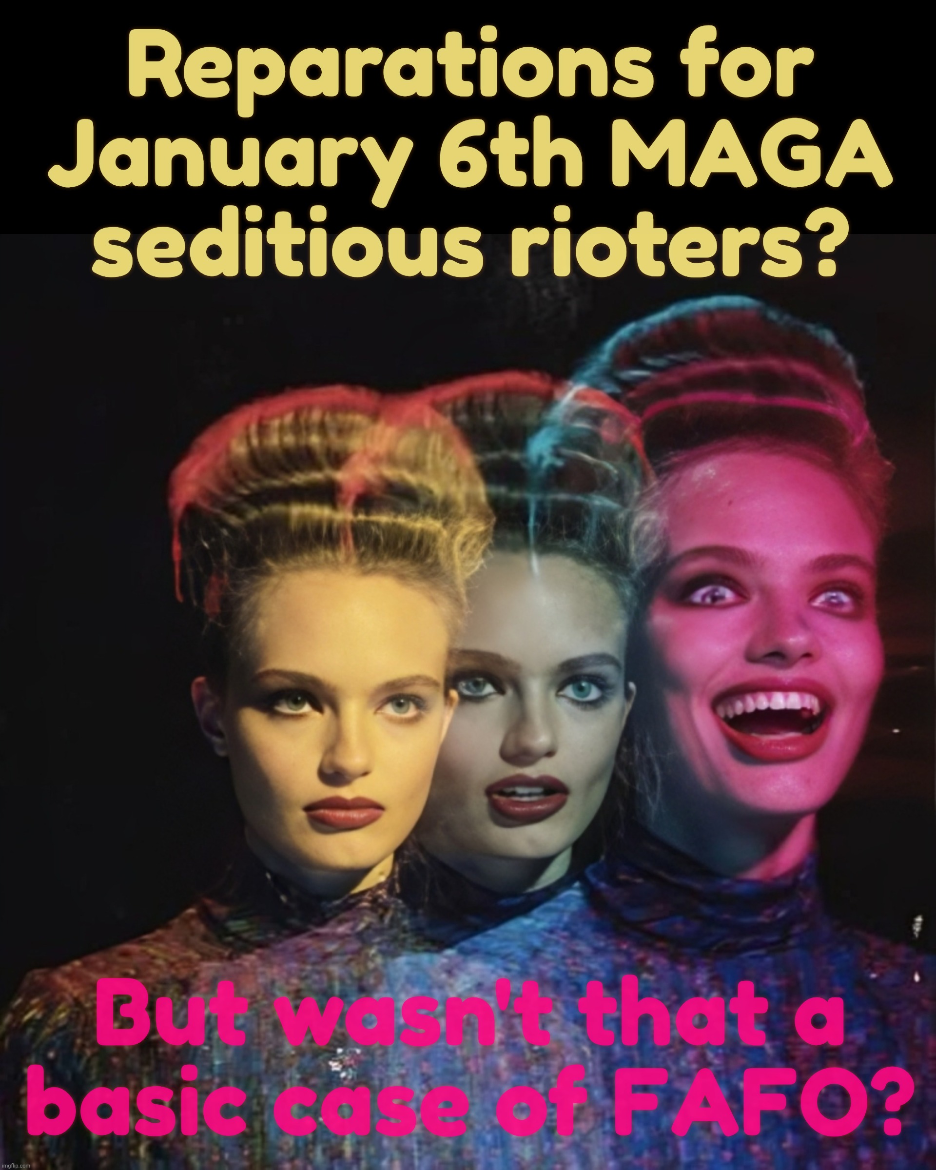 Hardy har har II | Reparations for
January 6th MAGA
seditious rioters? But wasn't that a
basic case of FAFO? | image tagged in hardy har har ii | made w/ Imgflip meme maker