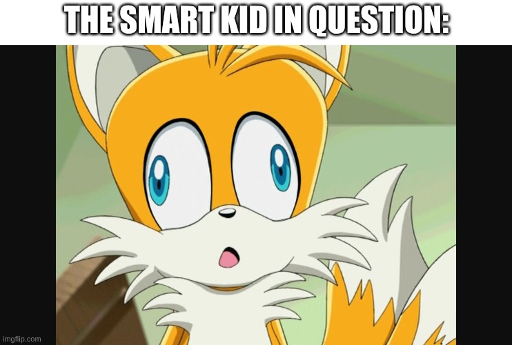 sonic- Derp Tails | The smart kid in question: | image tagged in sonic- derp tails | made w/ Imgflip meme maker