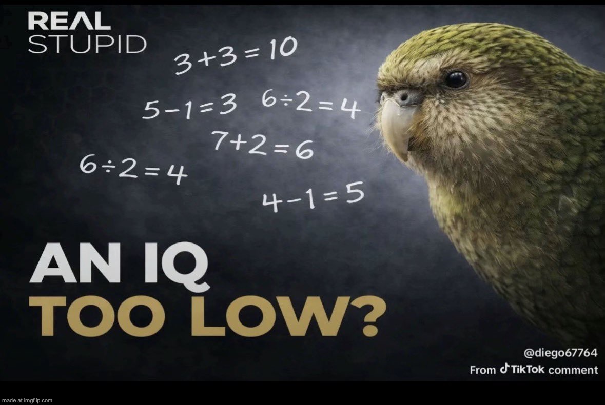 An IQ too low | image tagged in an iq too low | made w/ Imgflip meme maker