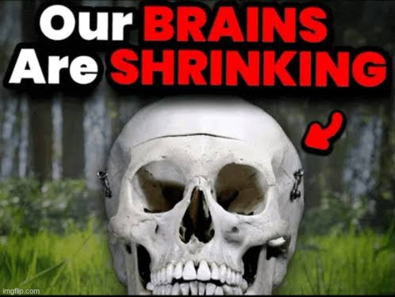 Our Brains Are Shrinking | image tagged in our brains are shrinking | made w/ Imgflip meme maker