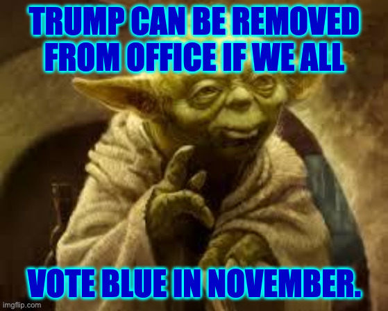 Don't worry. Only you and Elon will know. | trump can be removed
from office if we all; vote blue in november. | image tagged in yoda,memes,trump | made w/ Imgflip meme maker