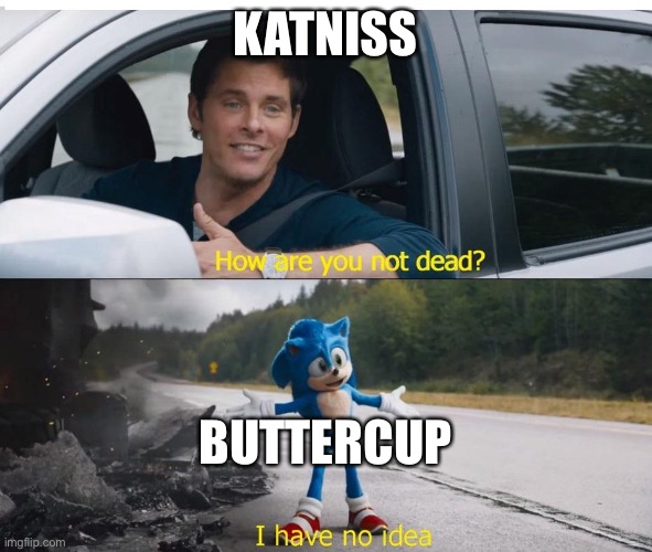 That cat would survive a nuclear holocaust | Katniss; Buttercup | image tagged in sonic how are you not dead,hunger games,katniss everdeen,accurate,survivor | made w/ Imgflip meme maker