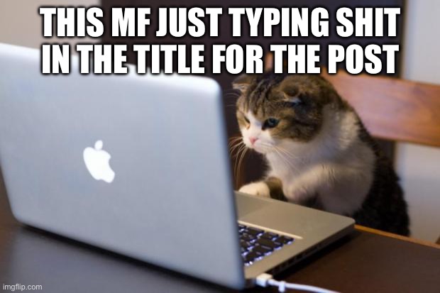 Cat using computer | This mf just typing shit in the title for the post | image tagged in cat using computer | made w/ Imgflip meme maker