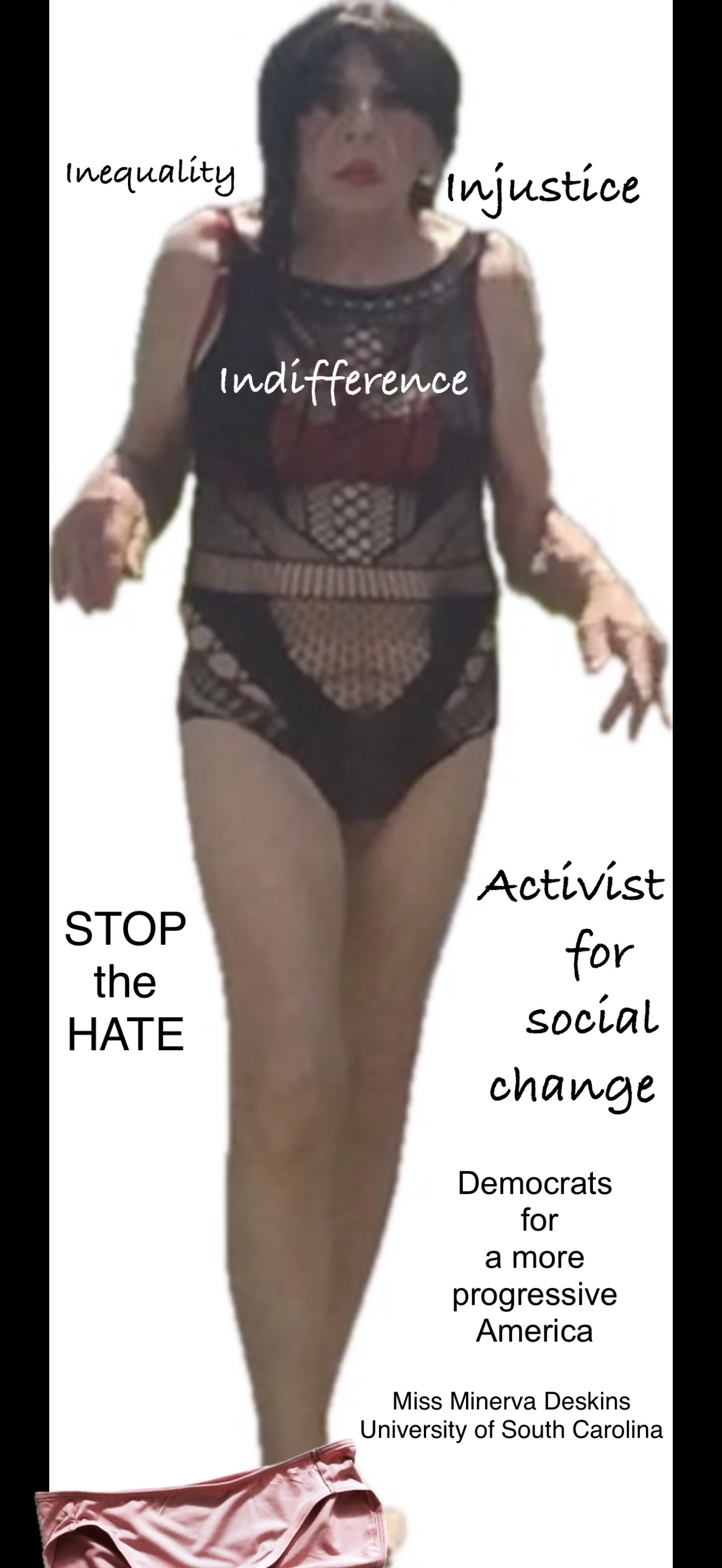 Democrat Activist Blank Meme Template