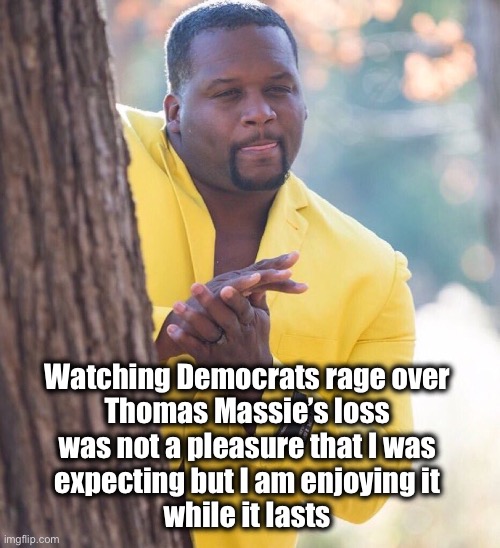 Next up: Cornyn | Watching Democrats rage over 
Thomas Massie’s loss 
was not a pleasure that I was 
expecting but I am enjoying it 
while it lasts | image tagged in black guy hiding behind tree | made w/ Imgflip meme maker