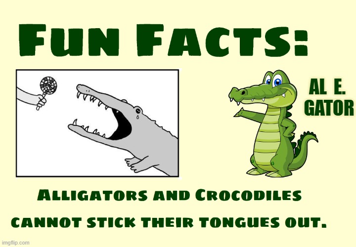 No Lollipops for You! | Al  E. 
Gator | image tagged in vince vance,alligators,crocodiles,animal facts,funny animal memes,cartoons | made w/ Imgflip meme maker