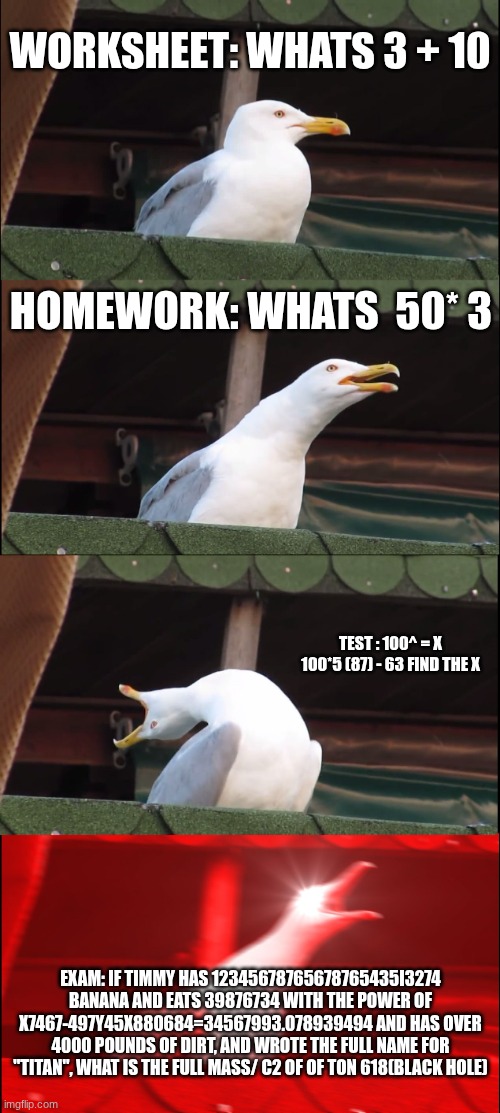 work | Worksheet: Whats 3 + 10; Homework: whats  50* 3; Test : 100^ = X 100*5 (87) - 63 find the X; Exam: if timmy has 12345678765678765435i3274 banana and eats 39876734 with the power of x7467-497y45x880684=34567993.078939494 and has over 4000 pounds of dirt, and wrote the full name for "titan", what is the full mass/ C2 of of ton 618(black hole) | image tagged in memes,inhaling seagull | made w/ Imgflip meme maker