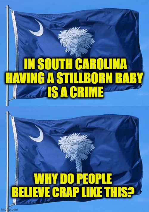 More Leftist Lies | In South Carolina
having a stillborn baby 
is a crime; Why do people
believe crap like this? | image tagged in misinformation | made w/ Imgflip meme maker