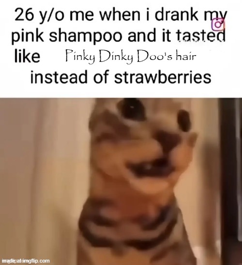 Pinky Dinky Doo's hair | made w/ Imgflip meme maker