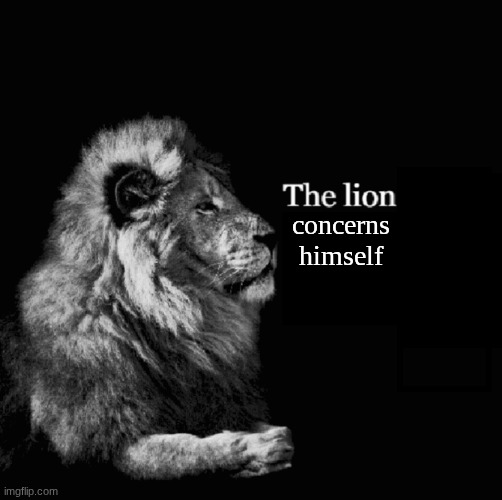 The lion tiktok template | concerns himself | image tagged in the lion tiktok template | made w/ Imgflip meme maker