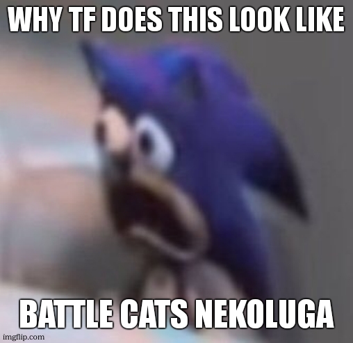 Traumatised Sonic | why tf does this look like battle cats nekoluga | image tagged in traumatised sonic | made w/ Imgflip meme maker