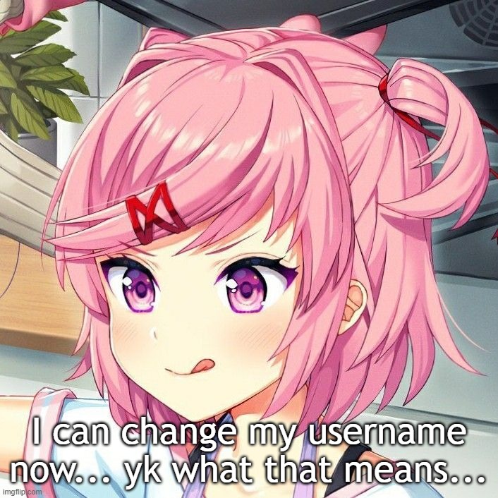 natsuki | I can change my username now... yk what that means... | image tagged in natsuki | made w/ Imgflip meme maker