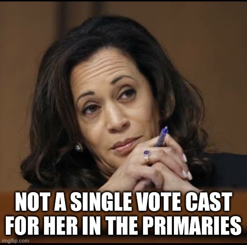 Not a single vote cast for her in the primaries | image tagged in kamala harris | made w/ Imgflip meme maker