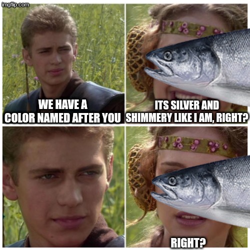 Anakin Padme Meme | its silver and shimmery like I am, right? we have a color named after you; right? | image tagged in anakin padme meme | made w/ Imgflip meme maker