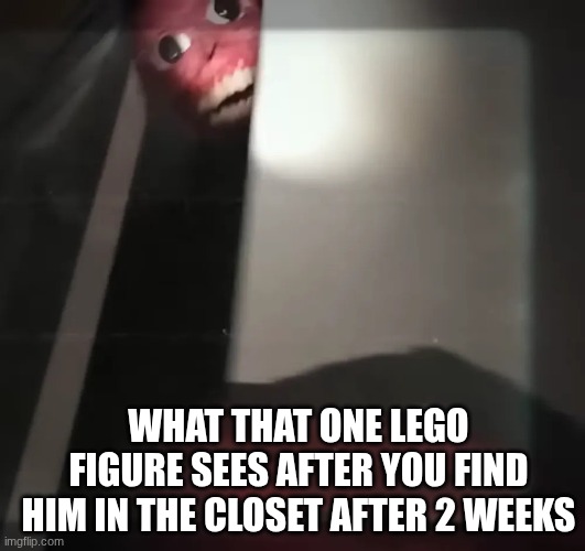 hambrbr | what that one Lego figure sees after you find him in the closet after 2 weeks | image tagged in the mimica is approcing-vita carnis | made w/ Imgflip meme maker