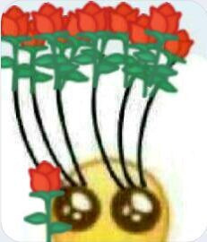 Rose Eyelashes Blank Meme Template