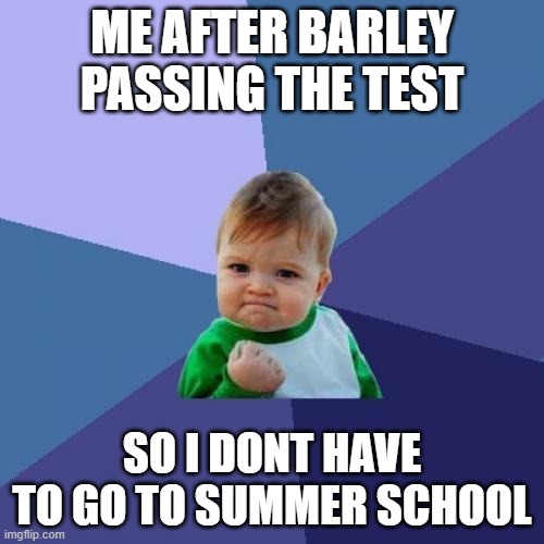 Success Kid | Me after barley passing the test; so i dont have to go to summer School | image tagged in memes,too funny,lol,a random meme | made w/ Imgflip meme maker