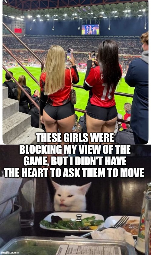 These girls were blocking my view of the game, but I didn't have the heart to ask them to move | image tagged in smudge that darn cat | made w/ Imgflip meme maker