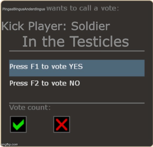 Tf2 Vote Template | PingasBingusAnderdingus; Kick Player: Soldier; In the Testicles | image tagged in tf2 vote template | made w/ Imgflip meme maker