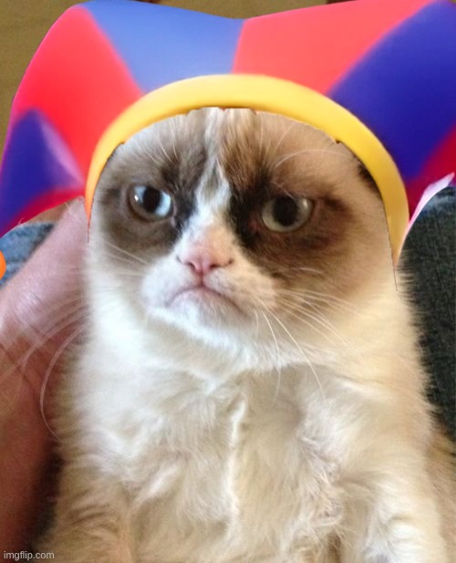 Grumpy Cat Meme | image tagged in memes,grumpy cat | made w/ Imgflip meme maker