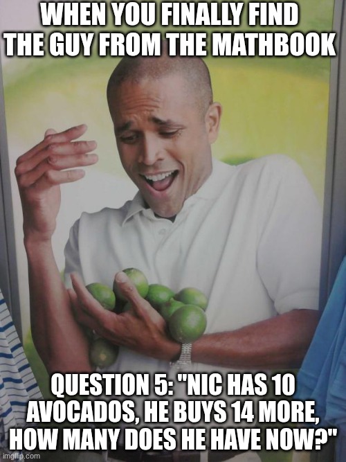 Why Can't I Hold All These Limes Meme | When you finally find the guy from the mathbook; Question 5: "Nic has 10 avocados, he buys 14 more, how many does he have now?" | image tagged in memes,why can't i hold all these limes | made w/ Imgflip meme maker