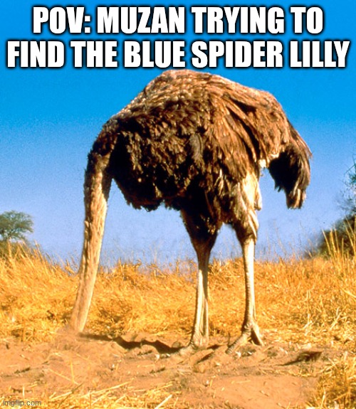 if you know you know | pov: muzan trying to find the blue spider lilly | image tagged in denial be like,demon slayer | made w/ Imgflip meme maker