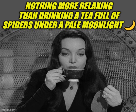 Morticia Addams | Nothing more relaxing than drinking a tea full of spiders under a pale moonlight ? | image tagged in morticia addams | made w/ Imgflip meme maker