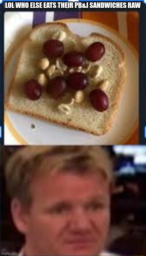 Why | Lol who else eats their Pb&j sandwiches raw | image tagged in screenshot 2026-05-20 10 28 47 am png | made w/ Imgflip meme maker