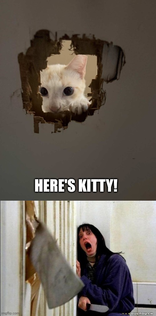 Here's kitty! | image tagged in here's johnny,the shining,kitty | made w/ Imgflip meme maker