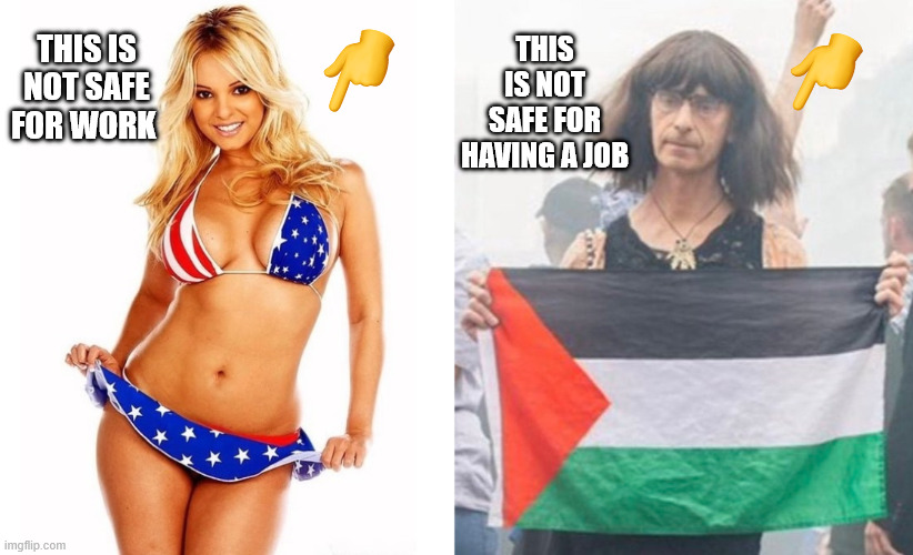 Difference between work and job | THIS IS NOT SAFE FOR WORK; THIS IS NOT SAFE FOR HAVING A JOB | image tagged in not safe for work usa,palestine girl,funny,politics,palestine,usa | made w/ Imgflip meme maker