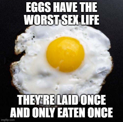 Egg Sex | eggs have the worst sex life; They're laid once and only eaten once | image tagged in eggs,sex jokes | made w/ Imgflip meme maker