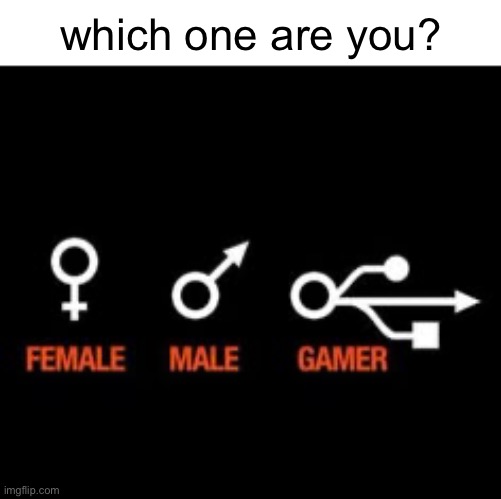 and if ur none of them, then thats also ok | which one are you? | image tagged in gaming,gender | made w/ Imgflip meme maker