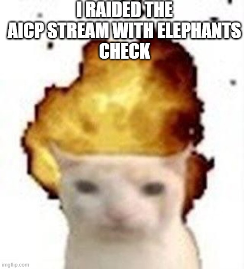 h | i raided the aicp stream with elephants
check | image tagged in legalize nuclear bombs | made w/ Imgflip meme maker