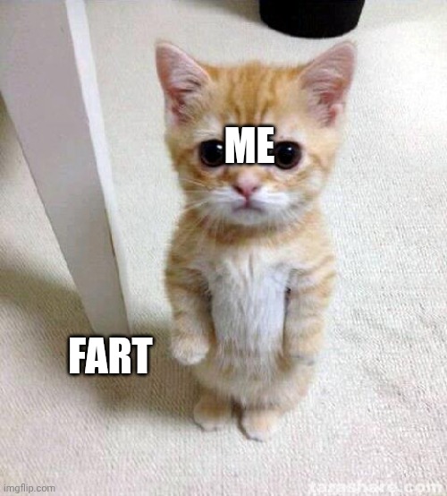 Cute Cat Meme | Me; Fart | image tagged in memes,cute cat | made w/ Imgflip meme maker