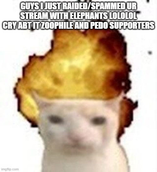 lol cry | guys i just raided/spammed ur stream with elephants lololol
cry abt it zoophile and pedo supporters | image tagged in legalize nuclear bombs | made w/ Imgflip meme maker
