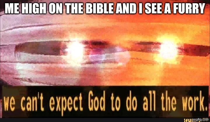We can't expect God to do all the work | me high on the bible and I see a furry | image tagged in we can't expect god to do all the work | made w/ Imgflip meme maker