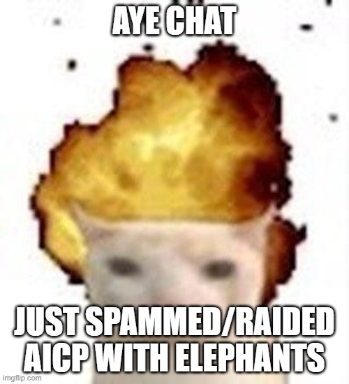 legalize nuclear bombs | aye chat; just spammed/raided aicp with elephants | image tagged in legalize nuclear bombs | made w/ Imgflip meme maker