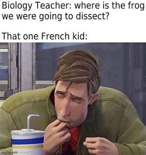 french kid | image tagged in frog,french,funny | made w/ Imgflip meme maker