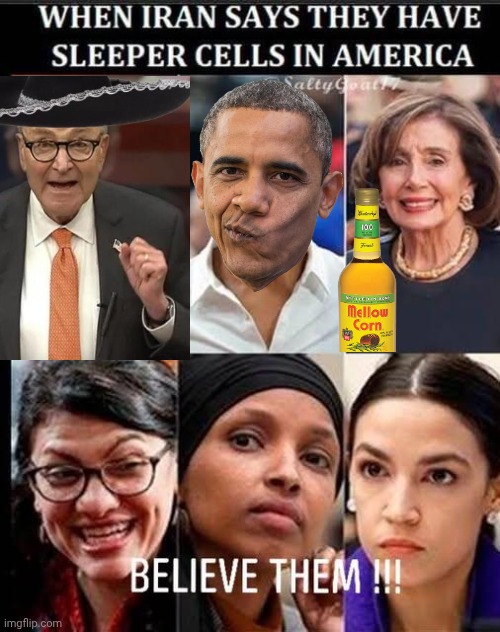 Iran Sleeper Cells | image tagged in img 53 jpeg,democrats,traitors | made w/ Imgflip meme maker