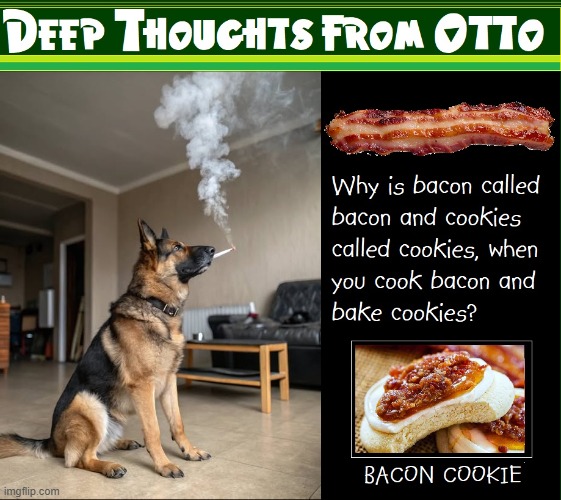 Otto G. Shepard Contemplates Bacon | image tagged in vince vance,german shepherd,dogs,funny animal meme,smoking,bacon | made w/ Imgflip meme maker